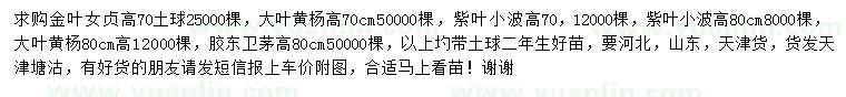 求購金葉女貞、大葉黃楊、紫葉小檗等小苗