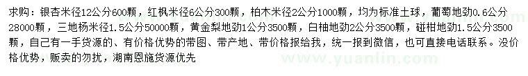 求購銀杏、紅楓、柏木等