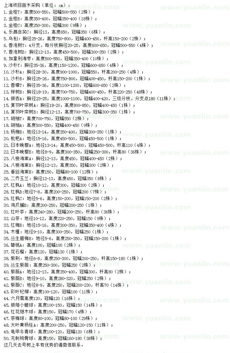 求購金桂、樂昌含笑、烏桕等