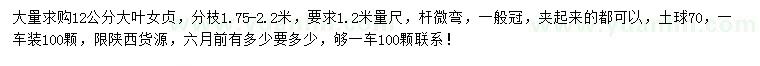 求購1.2米量12公分大葉女貞
