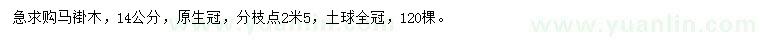 求購14公分馬褂木