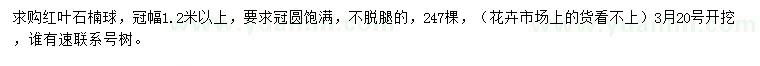 求購冠幅1.2米以上紅葉石楠球