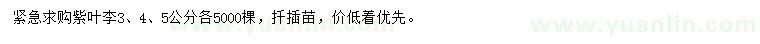 求購(gòu)3、4、5公分紫葉李