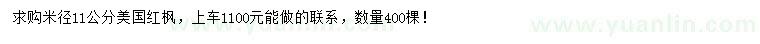 求購米徑11公分美國紅楓