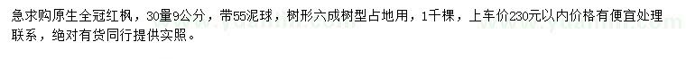 求購30量9公分紅楓