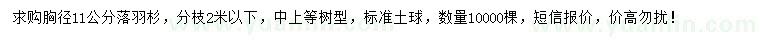 求購胸徑11公分落羽杉