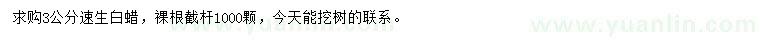 求購3公分速生白蠟