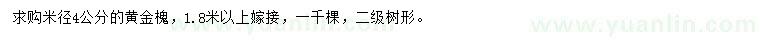 求購米徑4公分黃金槐