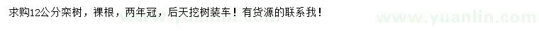 求購12公分欒樹