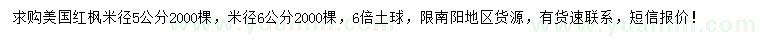 求購米徑5、6公分美國紅楓