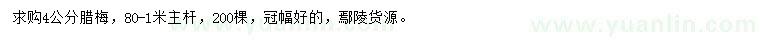 求購4公分臘梅