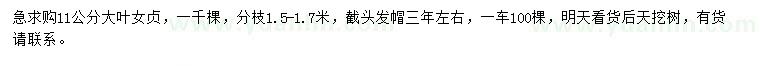 求購11公分大葉女貞