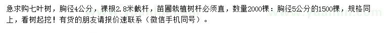 求購胸徑4、5公分七葉樹
