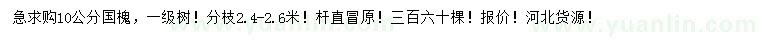 求購10公分國槐