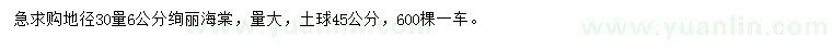 求購地徑30量6公分絢麗海棠
