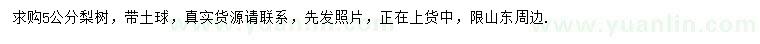 求購5公分梨樹
