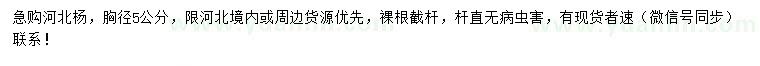 求購胸徑5公分河北楊