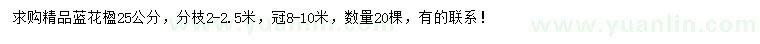 求購(gòu)25公分藍(lán)花楹