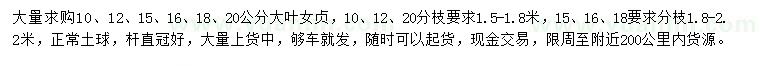 求購10、12、15、16、18、20公分大葉女貞