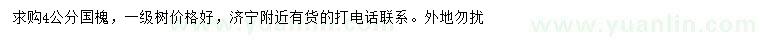 求購4公分國槐