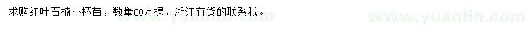 求購紅葉石楠小杯苗