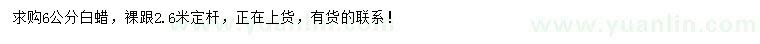 求購6公分白蠟