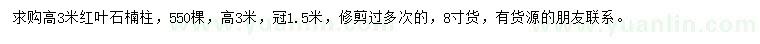 求購高3米紅葉石楠柱