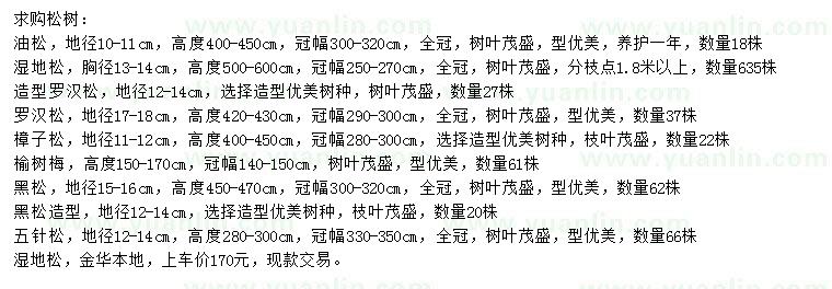 求購(gòu)油松、濕地松、造型羅漢松等