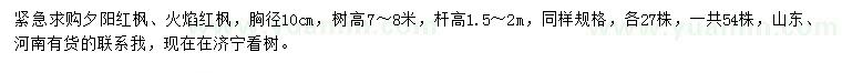 求購胸徑10公分夕陽紅楓、火焰紅楓