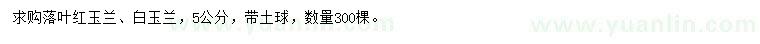 求購5公分落葉紅玉蘭、白玉蘭
