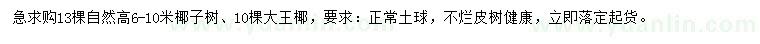 求購高6-10米椰子樹、大王椰