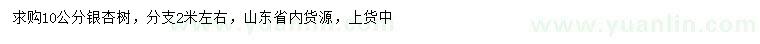 求購10公分銀杏