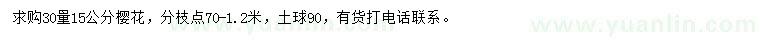 求購30量15公分櫻花