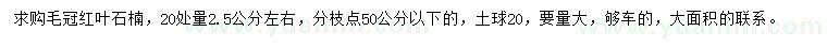 求購20量2.5公分左右毛冠紅葉石楠