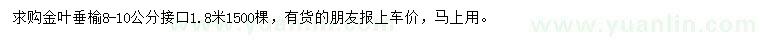 求購8-10公分金葉垂榆