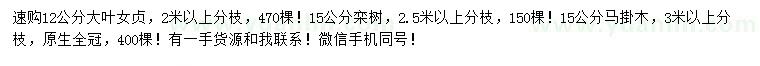 求購大葉女貞、欒樹、馬褂木