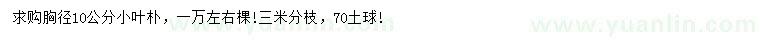 求購胸徑10公分小葉樸