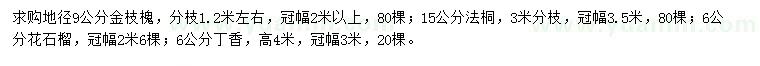 求購金枝槐、法桐、花石榴等