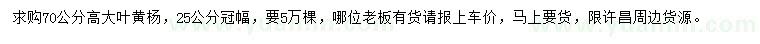 求購(gòu)高70公分大葉黃楊