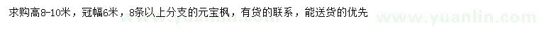 求購(gòu)高8-10米元寶楓