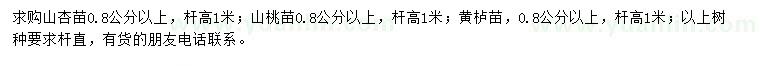 求購山杏苗、山桃苗、黃櫨苗