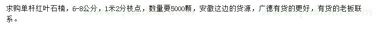 求購(gòu)6-8公分單桿紅葉石楠