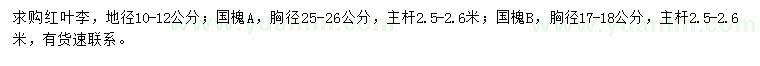 求購地徑10-12公分紅葉李、胸徑17-18、25-26公分國槐