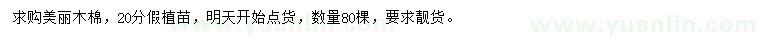 求購20公分美麗木棉