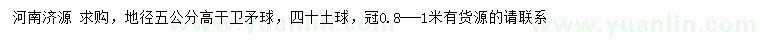 求購地徑5公分高桿衛(wèi)矛球