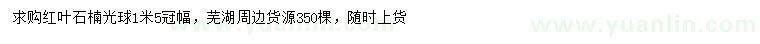 求購冠幅1.5米紅葉石楠光球