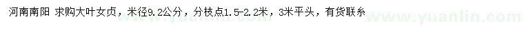求購(gòu)米徑9.2公分大葉女貞