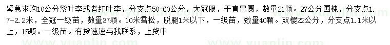求購紫葉李、紅葉李、國槐等