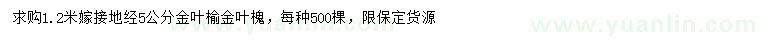 求購地徑5公分金葉榆、金葉槐