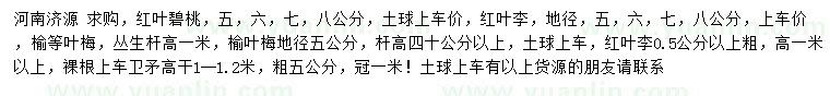 求購 紅葉碧桃、 紅葉李、 榆葉梅